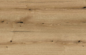 Coast Evoke Oak