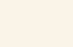 Porcelain (White)