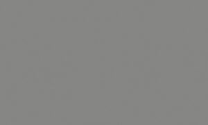 Dust Grey